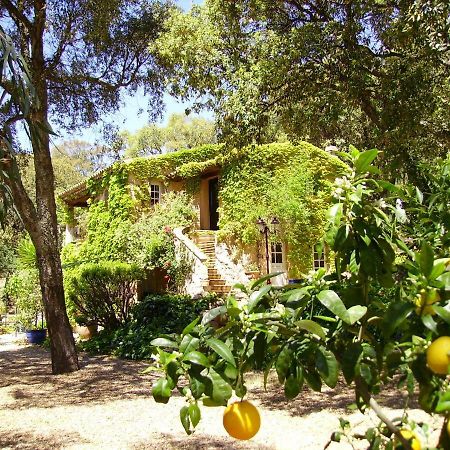 Le Bastidon Saint-Michel Bed & Breakfast Sainte-Maxime Exterior foto