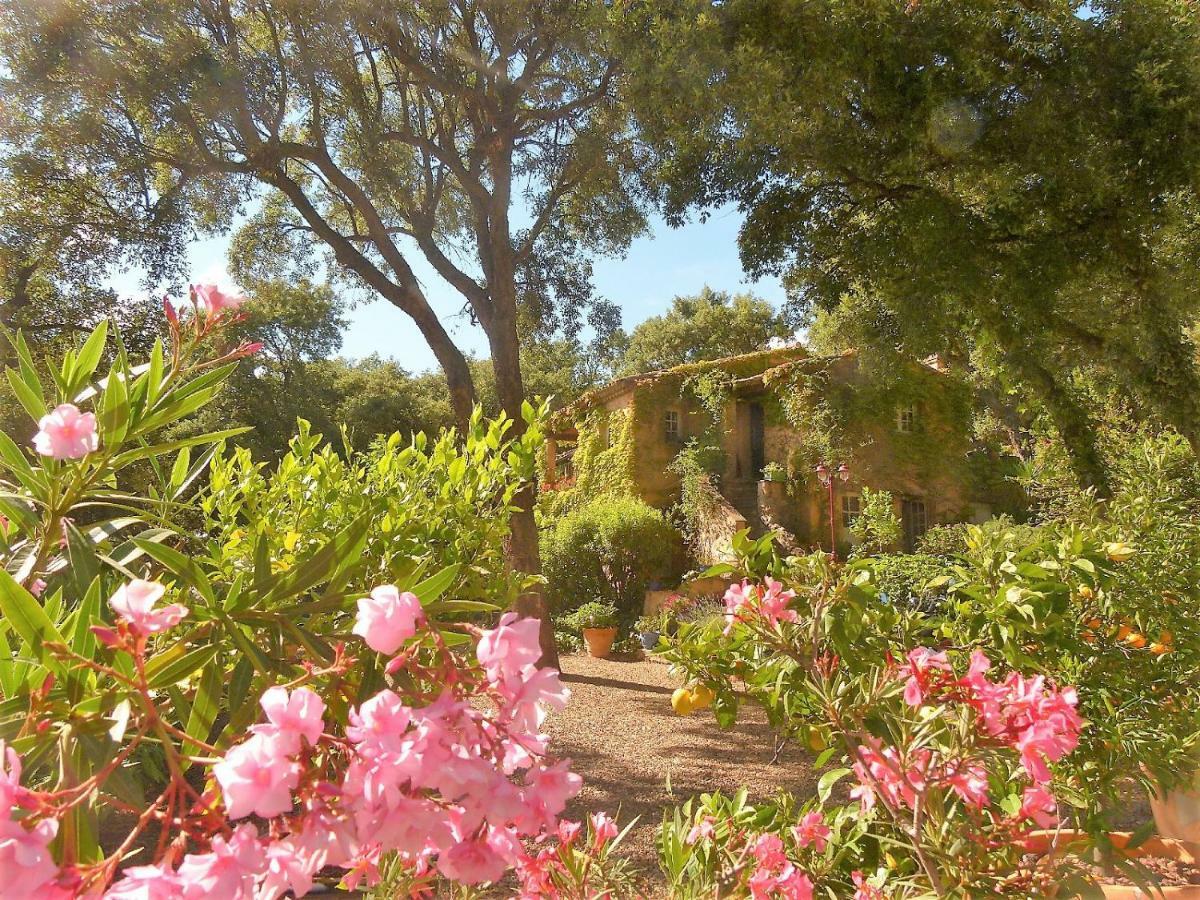 Le Bastidon Saint-Michel Bed & Breakfast Sainte-Maxime Exterior foto