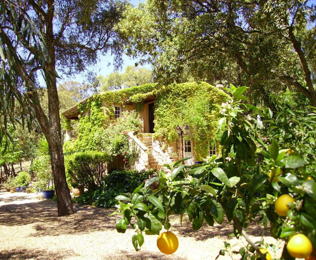 Le Bastidon Saint-Michel Bed & Breakfast Sainte-Maxime Exterior foto
